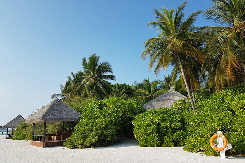 马尔代夫套房-Maldivian Suite with Pool 房型图片及房间装修风格(吉哈岛 Kihaa Maldives)海岛马尔代夫